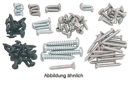 www.uspartsgermany.de - INTERIEUR-SCHRAUBENSET